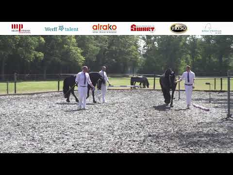 Stal Gaasterland | 17 Juni 2023