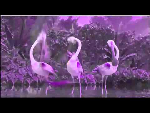 RiO AMV Song Real in RiO.flv