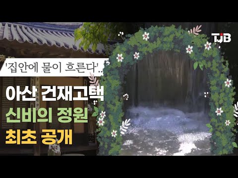 '집안에 물이 흐른다'.. 아산 건재고택 신비의 정원 최초 공개
