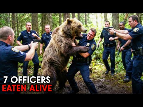 This Grizzly Bear Killed 7 Police Officers in 5 Minutes