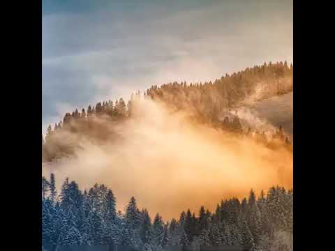 2JOHN’S, Nopopstar, Eugene Jay - Run EP