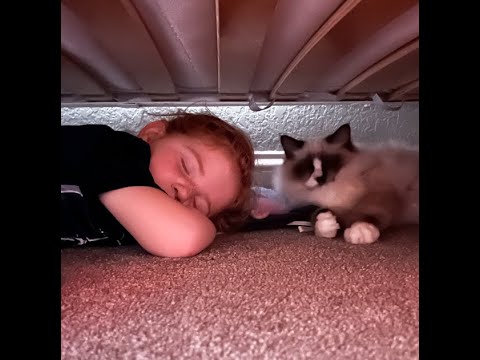 Don and Diane Shipley LIVE - January 28th at 1800 EST Thumbnail