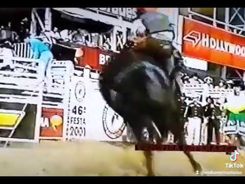 CARLOS BOAVENTURA - RODEIO DE BARRETOS 2001