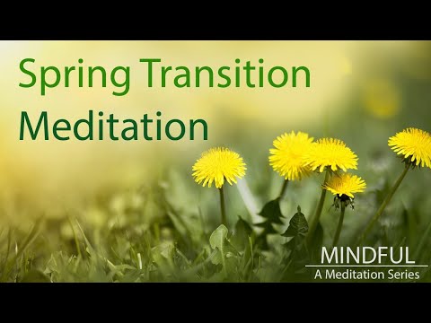 Mindful: A Meditation Series (Long Guided Spring Meditation)