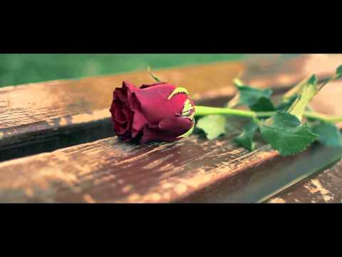 Branko Medak - REPATICE