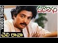 Mouna Ragam Telugu Movie Song Cheli Ravaa Revathi Mohan Layaraja