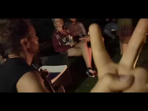 Freddy Das Meerschwein video