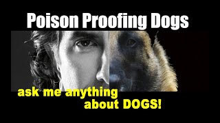 My Dog Got POISONED - ask me anything - Dog Training Video - Robert Cabral