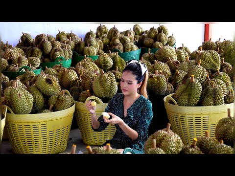 The world smelliest Fruits taste Like a Heaven - Giant Durian Fruit Cutting | Thai Street Food