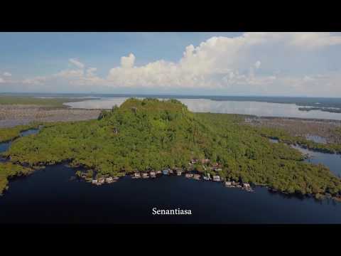 King Of Borneo -  Heart Of Borneo (Lyric Video)