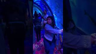 Fish tunnel in Dehradun carnival 🎡 #youtube #youtubeshorts #dehradun #carnival #video