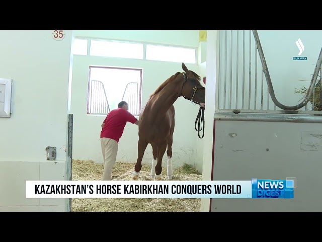 Қазақстандық тұлпар – Қабырхан өз шеберлігімен әлемді тәнті етті
