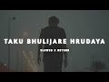 Taku Bhulijare Hrudaya (Slowed+Reverb) Lofi Song | Humane Sagar | #odialofisong
