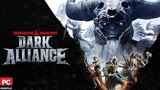 Dungeons & Dragons: Dark Alliance (PC)