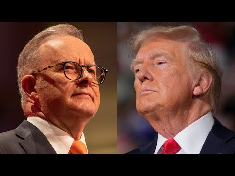 Albanese holds 'warm and constructive' call with Trump