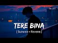 Tere Bina Slowed Reverb Arijit Singh Aakanksha Sharma 1921 SR Lofi