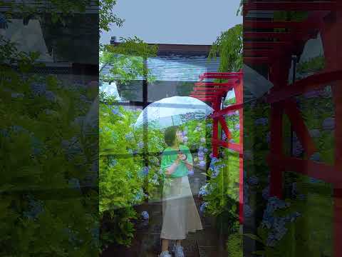 冬にはアジサイの下に何を置きますか？保護用の「ベッド」を作成するにはどうすればよいですか?  庭園