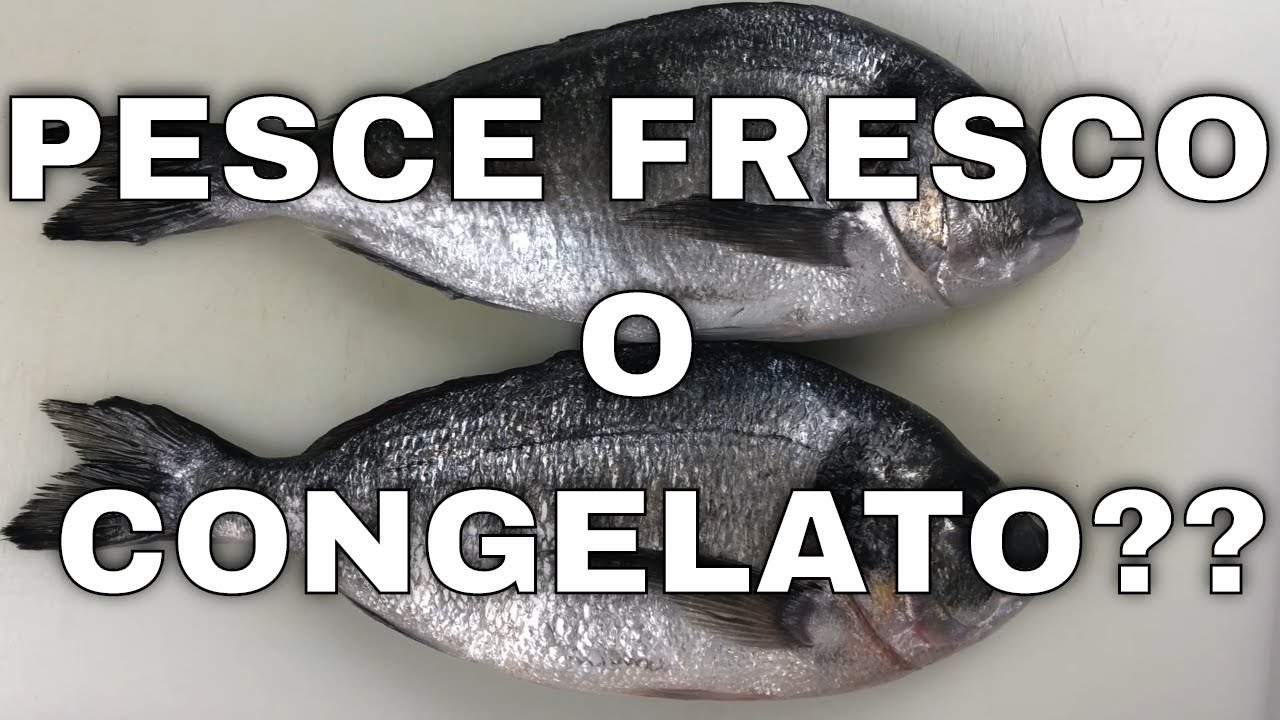 Watch Now Come riconoscere il pesce fresco da quello congelato Come riconoscere il pesce fresco da quello congelato