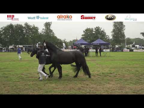 Fokdag Ta it Bihâld | 22 juli 2023 | Kampioenschappen