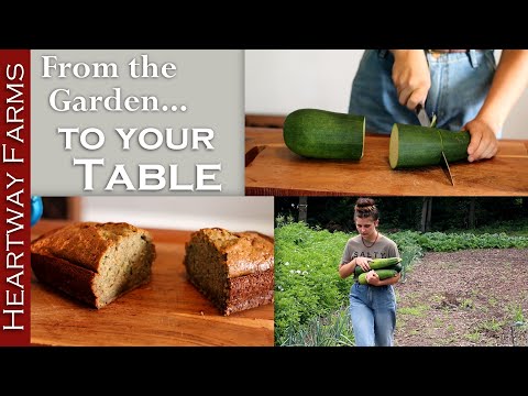 How to make the best zucchini bread recipe