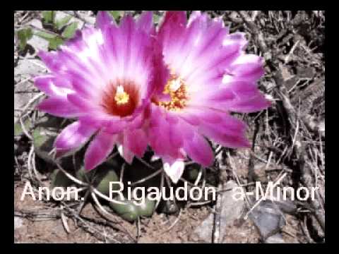 Baroque Transcriptions for Guitar: Favorites of  a  recent CD