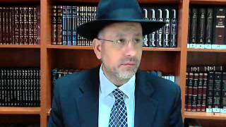 Parachat Bo - les chiens n ont pas aboyes