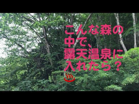 ジャングルキャンプ: 独身キャンパーのエリックが洞察力を示す - ティナ・ルーランドが飛ぶ