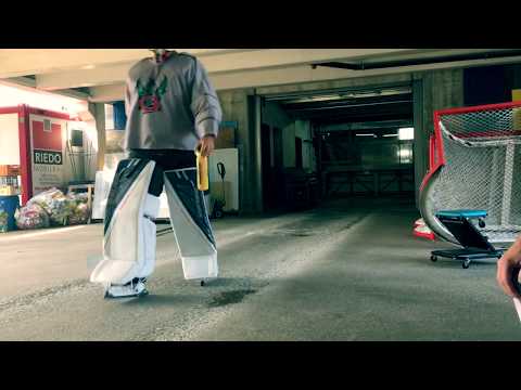 Fribourg-Gottéron back on ice... 17/18