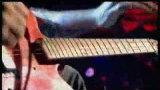 Seasick Steve - Dog House Boogie (Live& Acoustic)