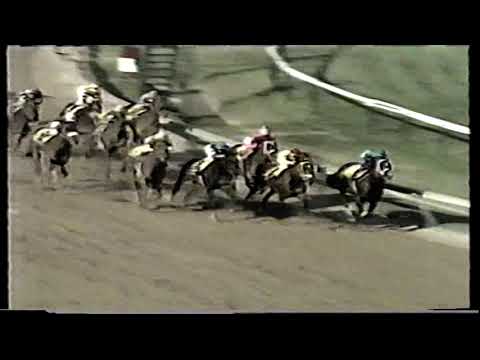 1993 Preakness Stakes