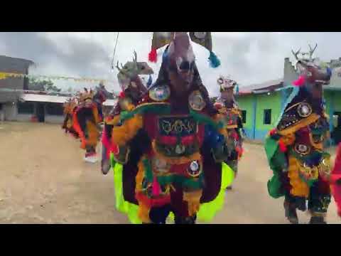 Cultur&aacute;l Deer dance in Jalacte.ɓelice