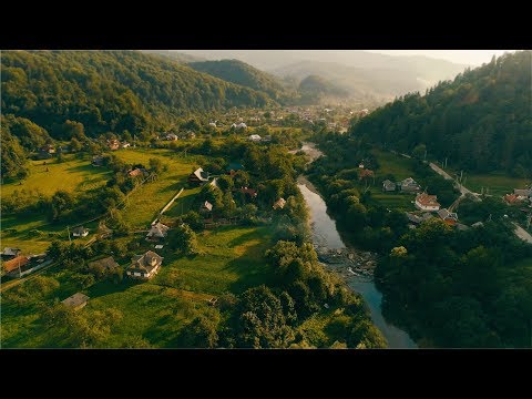 Szeszory — Wideo