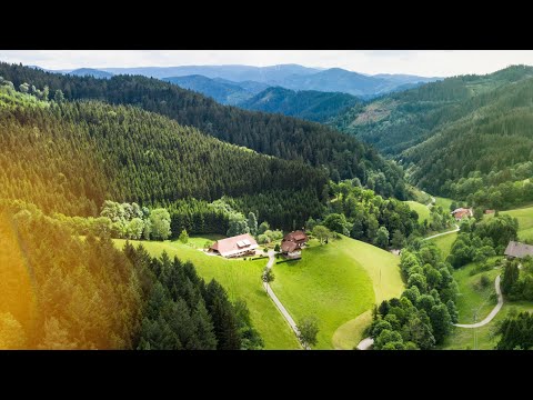 Video 3 aus  Fussbauernhof