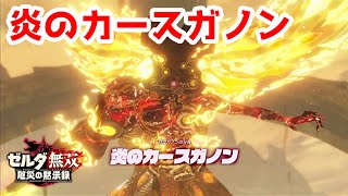 【実況】定年を迎えた父を再びハイラルの大地に放り込むPart31【ゼルダ無双 厄災の黙示録】