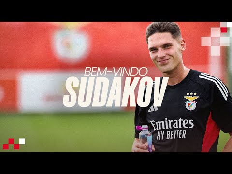 Bem-vindo, Sudakov!