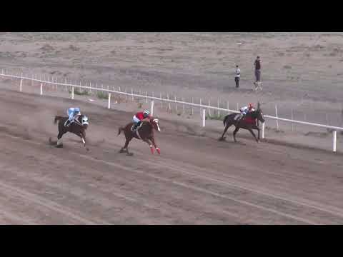 JOY PABLITO Añelo Equestrian Club Sunday, November 2, 2025