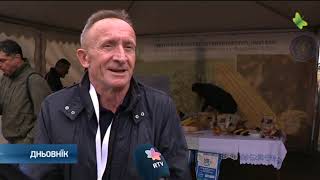 Пре диждж мало парастох на Дню польох/Dzenj poljoh sep 22