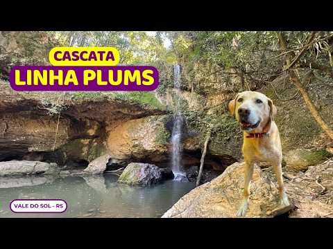 INCRÍVEL descoberta em VALE DO SOL: Cascata Linha Plums (RS) | English subtitles