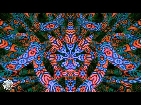 Timelock & Waveform - Somnia