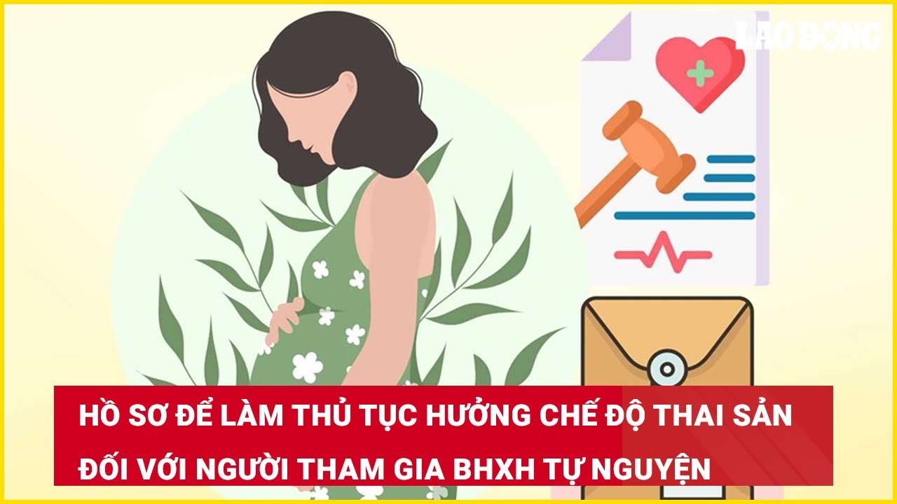 Hồ sơ để làm thủ tục hưởng chế độ thai sản đối với người tham gia BHXH tự nguyện