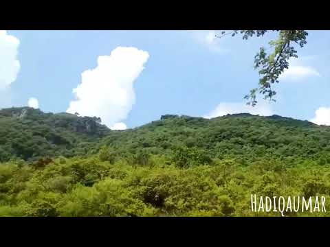 Chirping of birds | Hadiqa Umar |