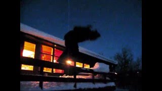 Hovden ski movie