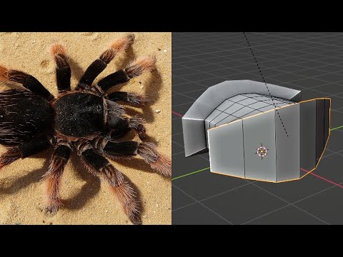 Can I Successfully 3D Model a Spider?