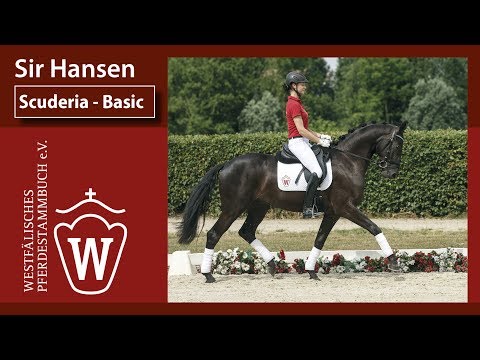 Sir Hansen  Wallach v. Scuderia - Basic