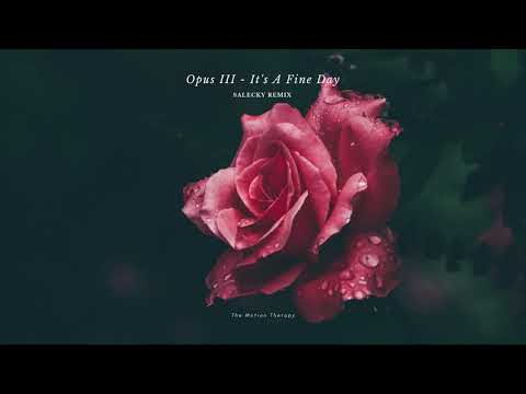 Opus III - It's A Fine Day (Salecky Remix) [Deep House] #fineday4everyone