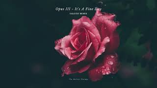 Opus III - It&#39;s A Fine Day (Salecky Remix) [Deep House]