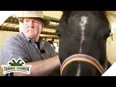 Neues vom Knochenbrecher: Der Pferdeflüsterer in Afrika | 1/2 | Tamme Hanken