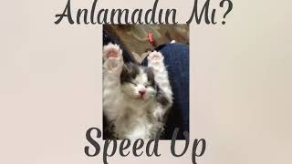 Ozbi-Anlamadın Mı? (speed up)