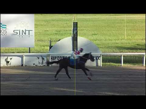 210204 c07 1° NEVER LOSE - SINT - PAYSANDU