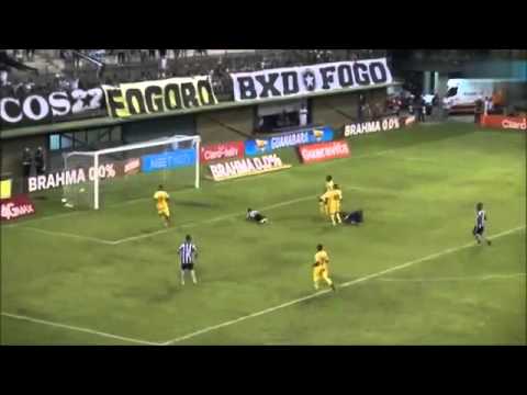 Botafogo 1x0 Madureira/Gol de Bruno Silva/Botafogo Minha Vida